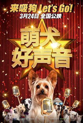 迷宫的女人
