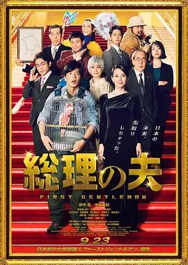 91网视频