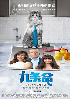 福利一区二区视频