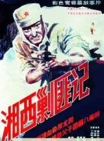 国内精品一区二区在线观看