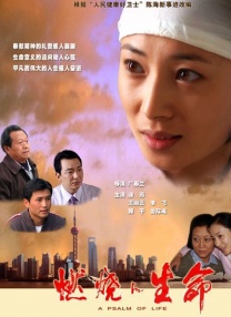 理论片午午伦夜理片久久