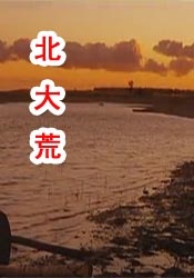 国产免费怡红院视频
