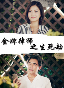 一仆二主电视剧43集