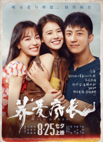 一区二区高清在线观看