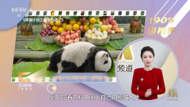 成人资源av